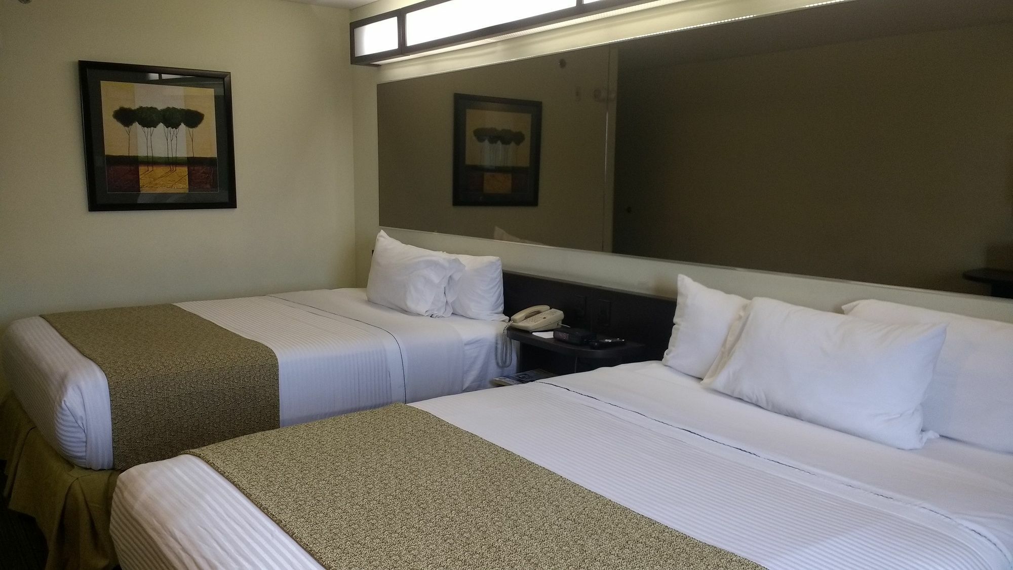 Microtel Inn And Suites By Wyndham Toluca Dış mekan fotoğraf